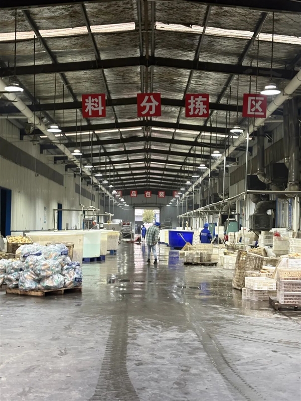 甘肃的虾 农业大摸底太精彩了AG旗舰厅最新版新疆的海鲜、(图4)