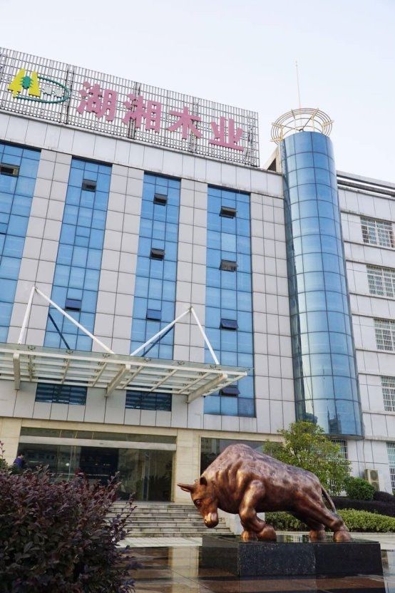 风向标：板材十大品牌权威解读AG旗舰厅网站2025行业(图2)