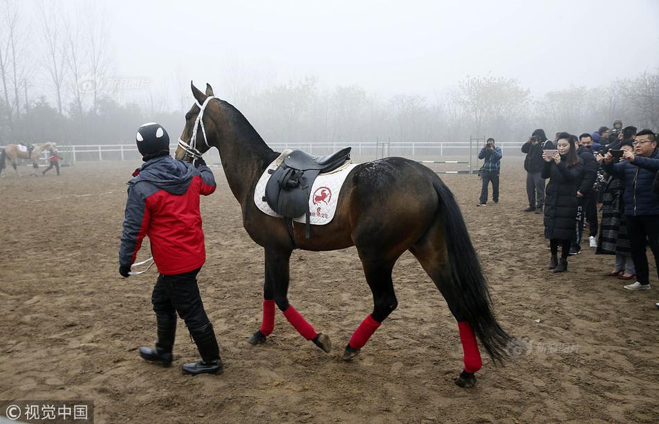 勇敢挑战极限展现无畏精神与力量的推荐与AG旗舰厅网站早报刘玥大战28公分黑人(图2)