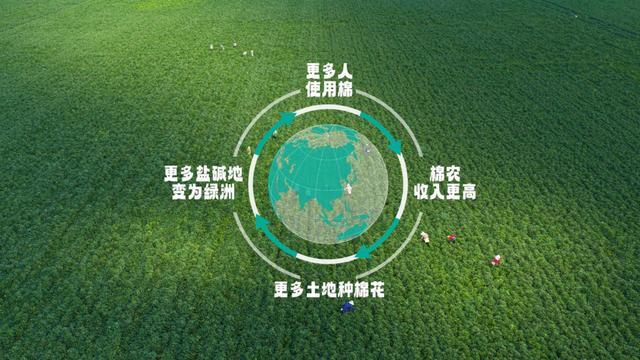 Goose加拿大鹅“共话青皑”沉浸式体验之旅 于成都开启传承、文化与自然的对话AG旗舰厅时尚WEEKLY｜一朵棉花改变世界 全棉时代溯源纪录片上线Canada(图6)